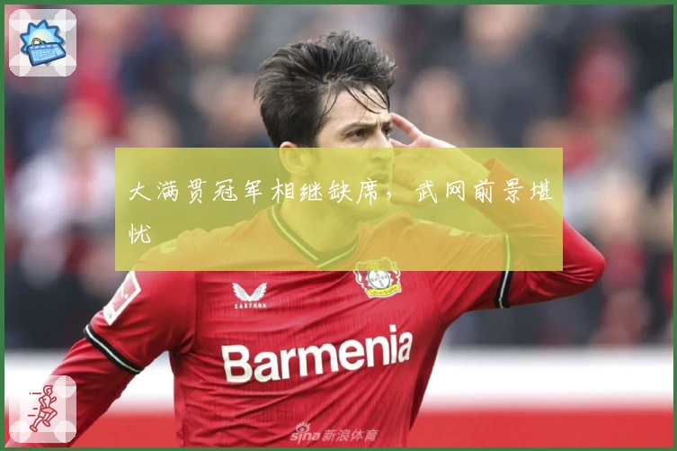 大满贯冠军相继缺席，武网前景堪忧