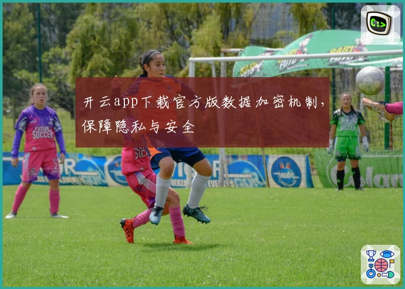 开云app下载官方版数据加密机制，保障隐私与安全